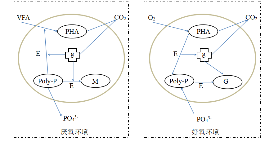 	蘇州湛清環保科技有限公司