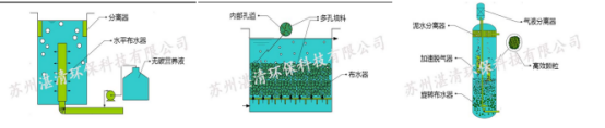 總氮超標