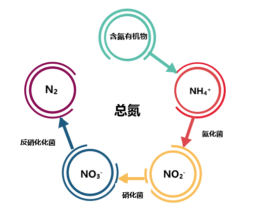 總氮處理